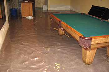 Get your sump pump replacement done by Action Plumbing, Heating, Air Conditioning and Electric, Inc. in Middleton WI.