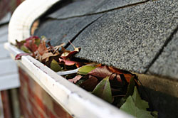 A gutter filled with leaves