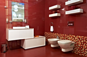 Need a Plumber for toilet repair in Madison WI? Call us.
