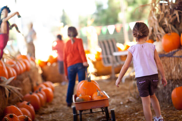 October Festivals, Pumpkin Patches and Events to Enjoy